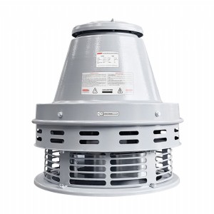 2.300 m³/h / FT-CM 315 Çatı Tipi Radyal Fan
